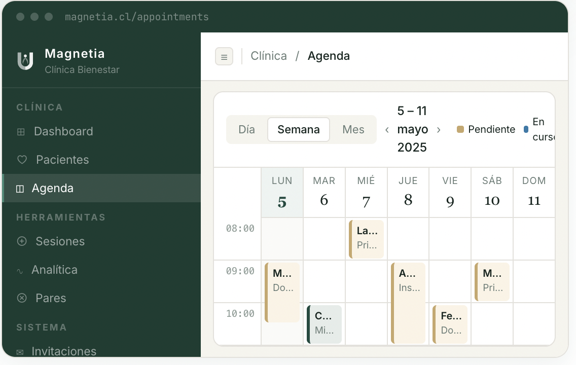 Agenda clínica para terapeutas de biomagnetismo